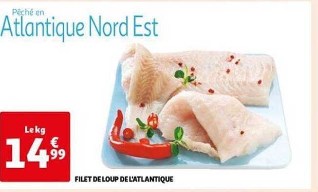 Filet De Loup De L'atlantique