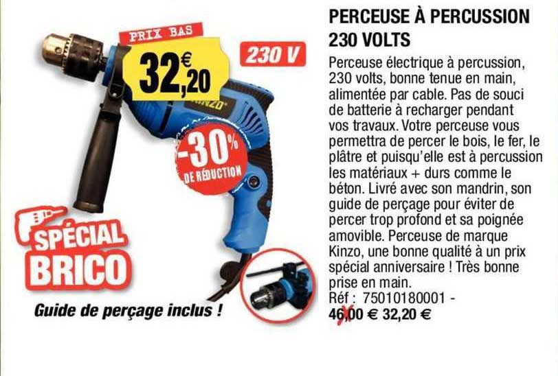 perceuse à percussion 230 volts