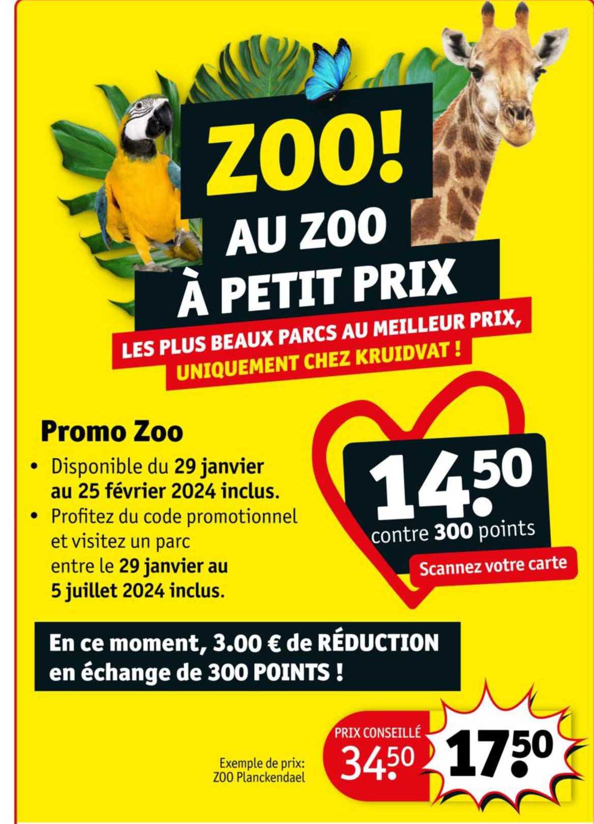 Promo Zoo