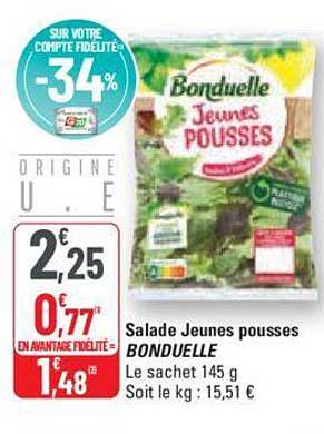 salade jeunes pousses bonduelle