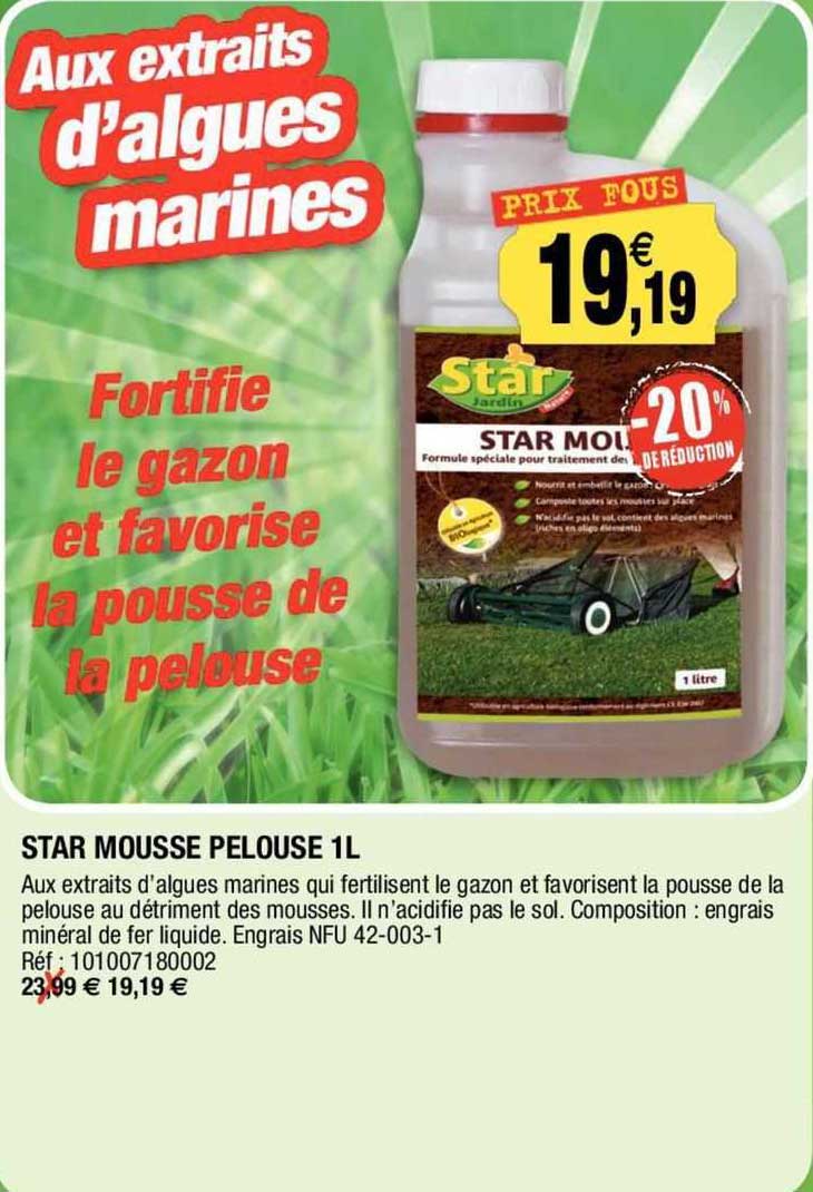 Star Mousse Pelouse 1l
