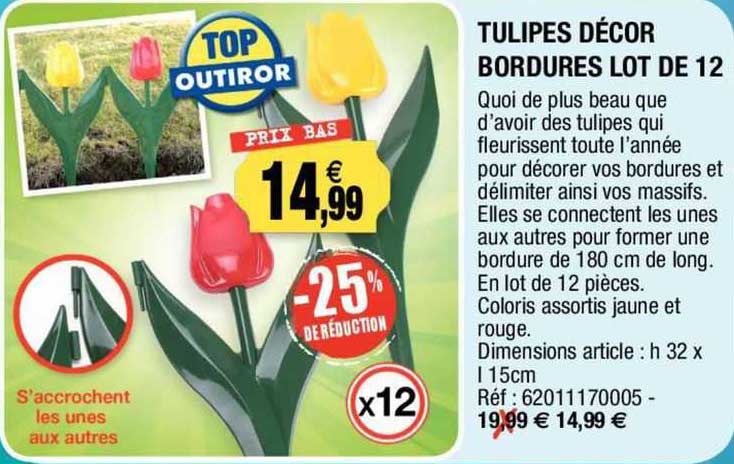 tulipes décor bordures lot de 12