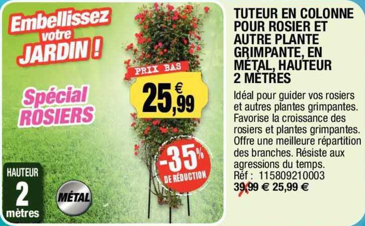 tuteur en colonne pour rosier et autre plante grimpante, en métal, hauteur 2 mètres