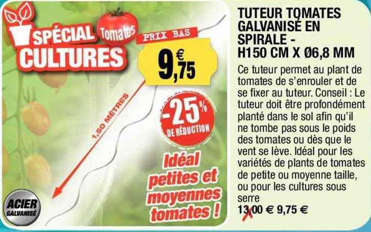 tuteur tomates galvanisé en spirale - h150 cm x Ø6,8 mm