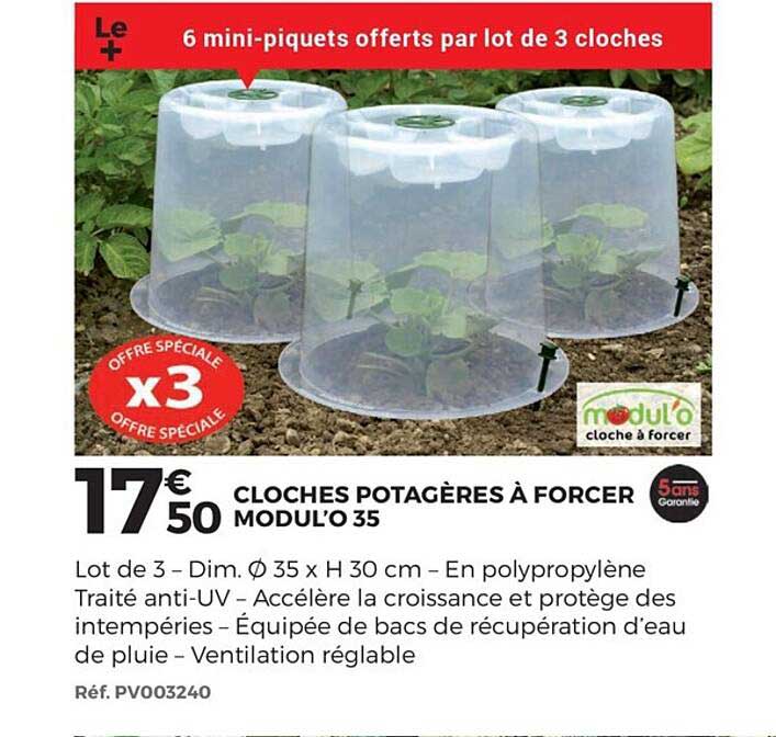 cloches potagères à forcer modul'o 35