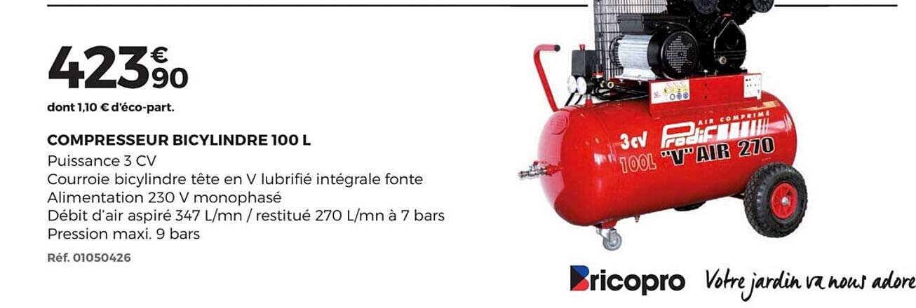 compresseur bicylindre 100 l