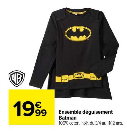 ensemble déguisement warner bros