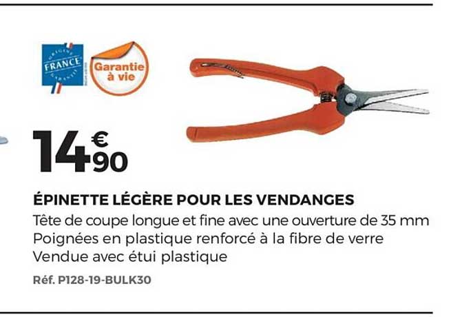 épinette légère pour les vendances