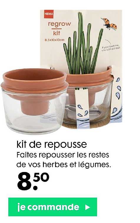 kit de repousse