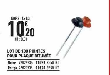 lot de 100 pointes pour plaque bitumée