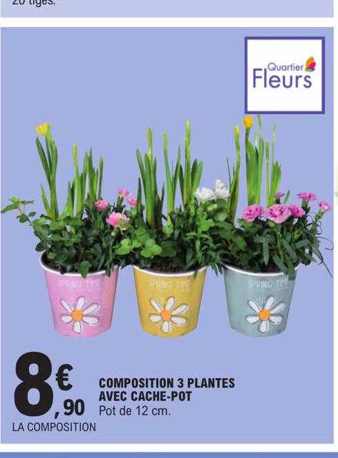 composition 3 plantes avec cache-pot