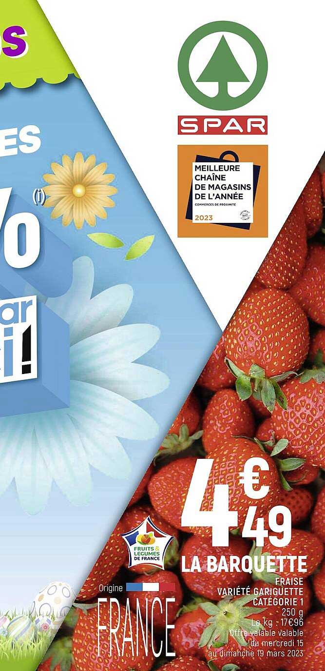 fraise variété gariguette catégorie 1