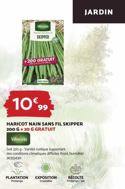 haricot nain sans fil skipper 200 g + 20 g gratuit vilmorin