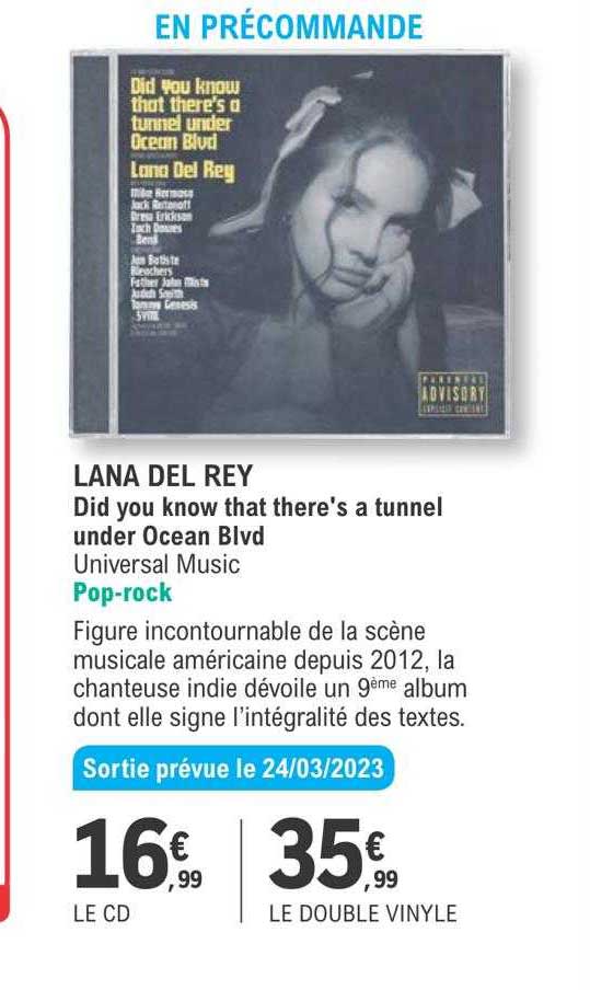 lana del rey did you know that there's a tunnel under ocean blvd