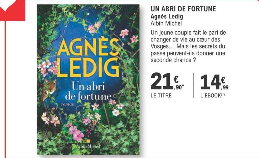 un abri de fortune - agnès ledig