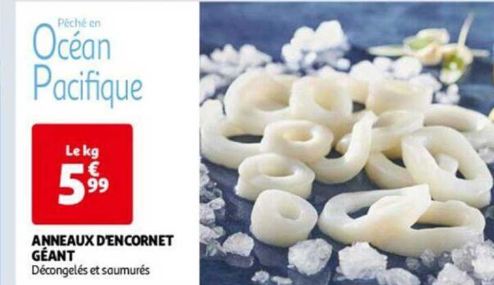 anneaux d'encornet géant