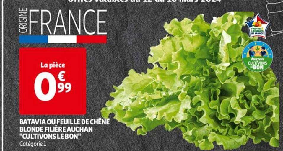 Batavia Ou Feuille De Chêne Blonde Filière Auchan "cultivons Le Bon"