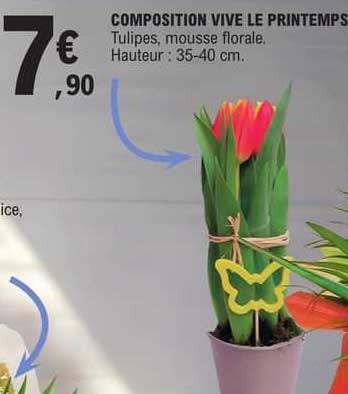 composition vive le printemps