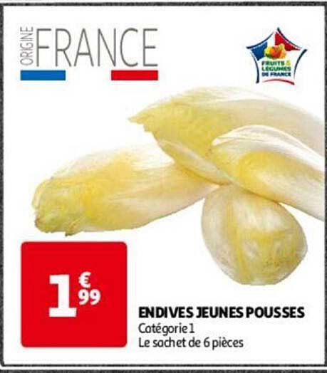 endives jeunes pousses