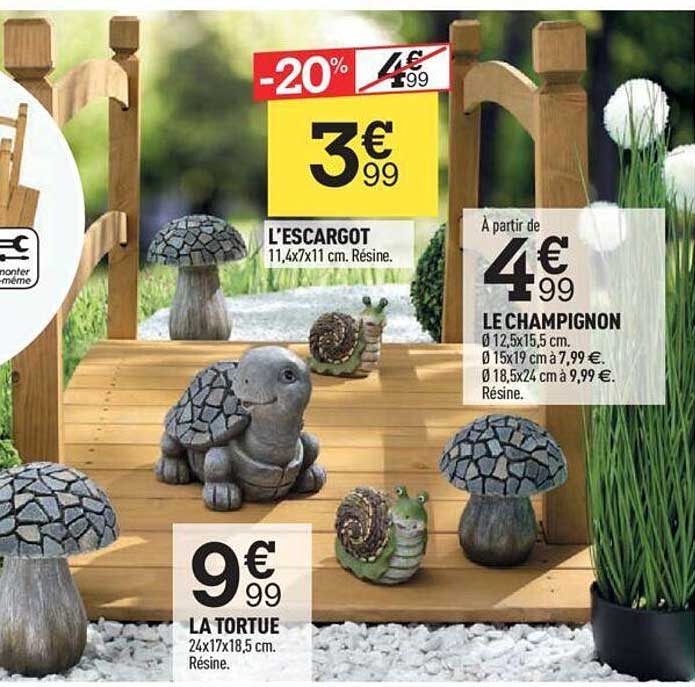 l'escargot la tortue le champignon