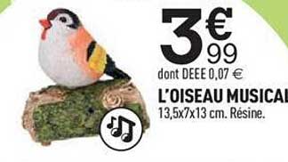 l'oiseau musical