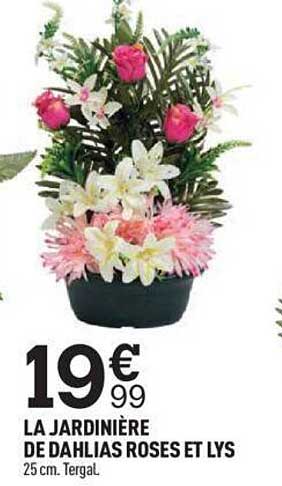 La Jardinière De Dahlias Roses Et Lys