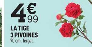 la tige 3 pivoines