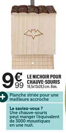 le nichoir pour chauve-souris