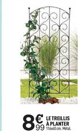 le treillis à planter