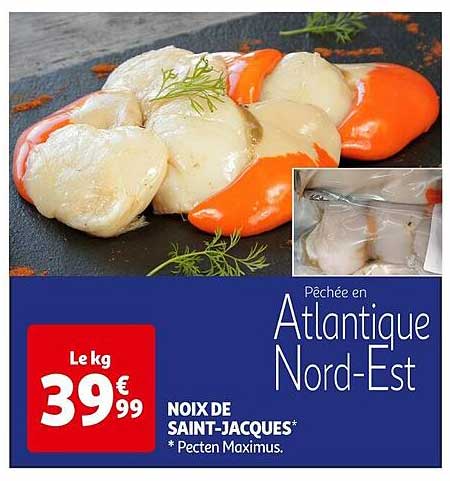 noix de saint-jacques