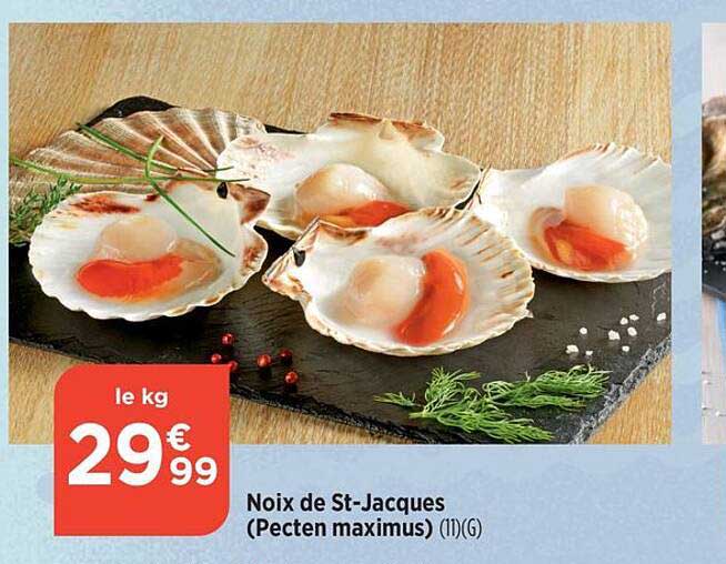 noix de st-jacques (pecten maximus)