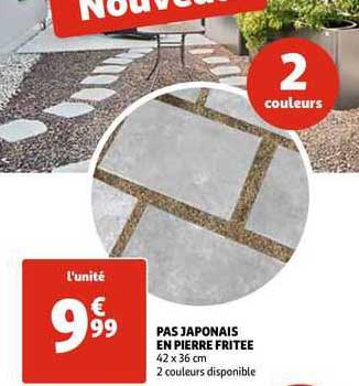 pas japonais en pierre fritée