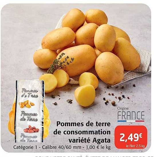 pommes de terre de consommation variété agata