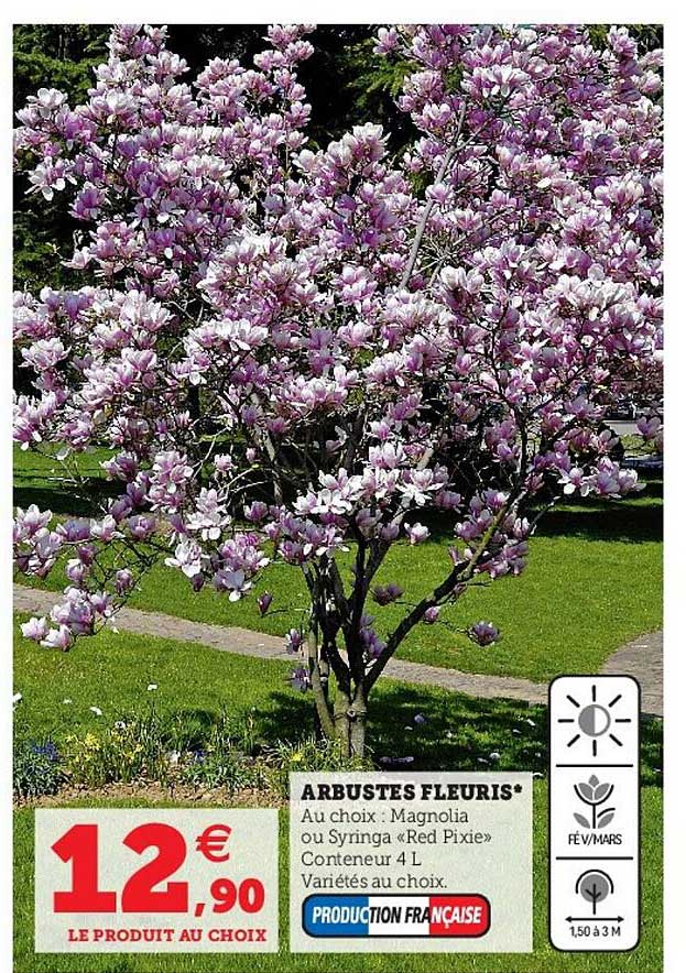 arbustes fleuris