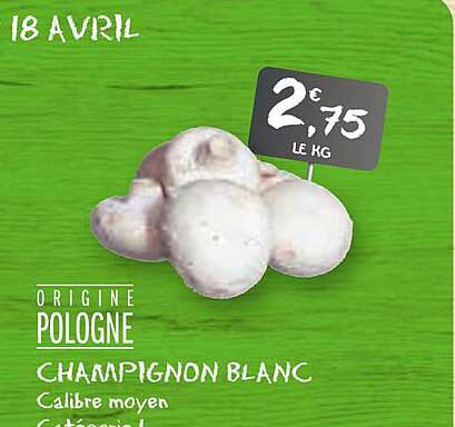 Champignon Blanc