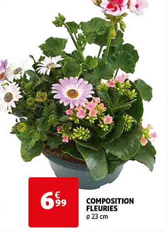 composition fleuries