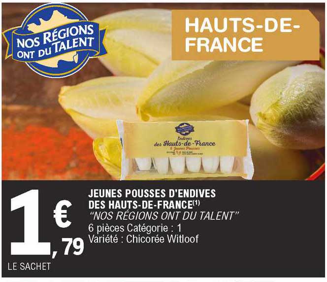 jeunes pousses d'endives des hauts-de-france "nos régions ont du talent"