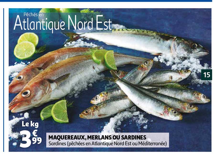 Maquereaux, Merlans Ou Sardines