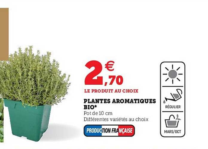 Plantes Aromatiques Bio
