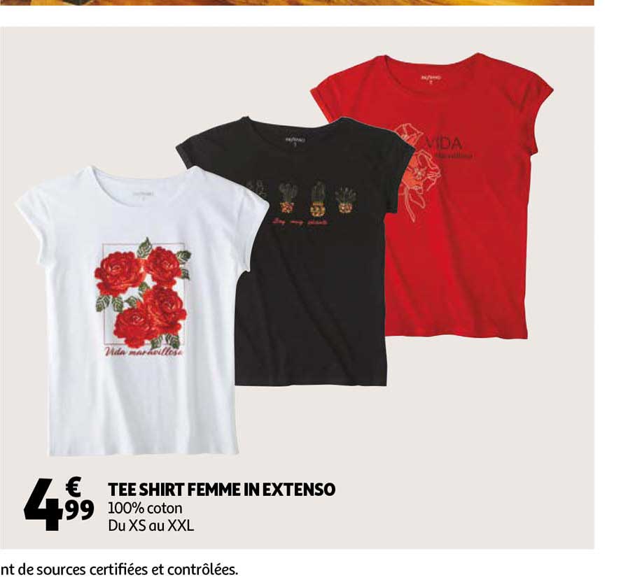 tee shirt femme in extenso