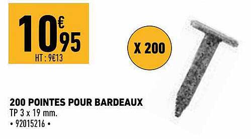200 pointes pour bardeaux