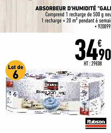 absorbeur d'humidité "galet" rubson