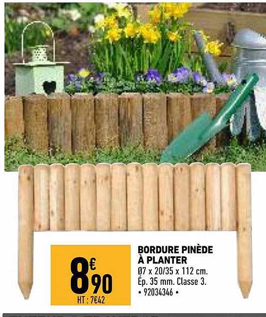 bordure pinède à planter