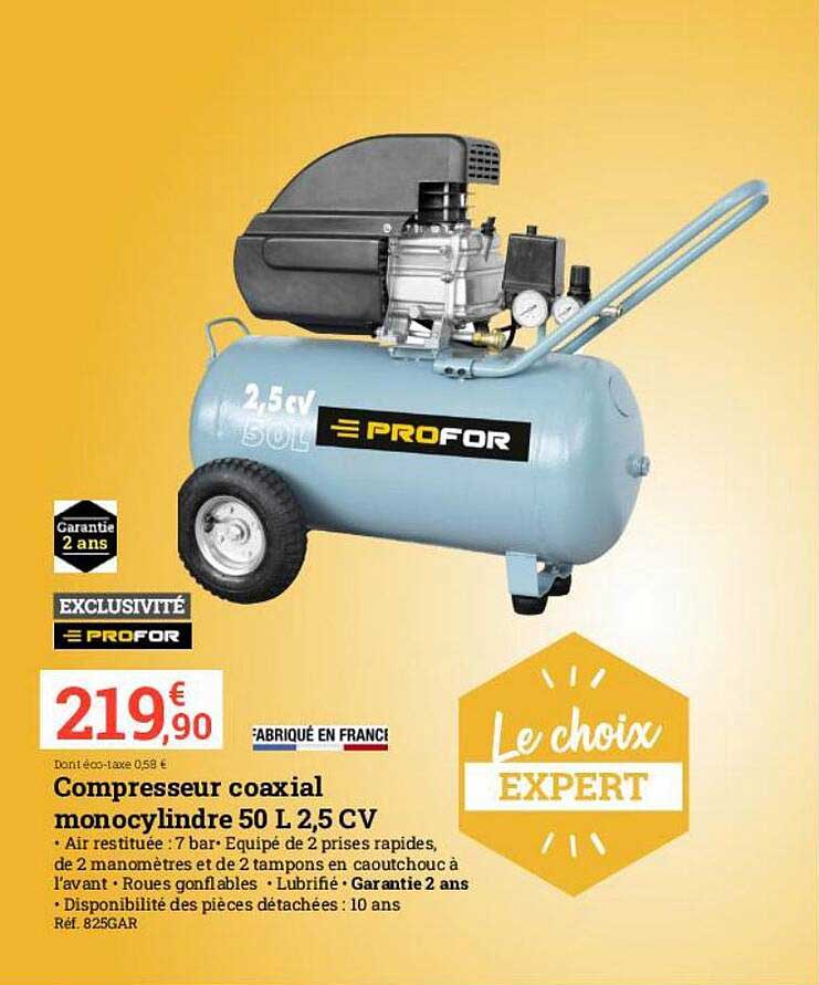 compresseur coaxial monocylindre 50 l 2.5 cv
