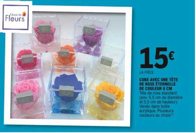 Cube Avec Une Tête De Rose éternelle De Couleur 8 Cm