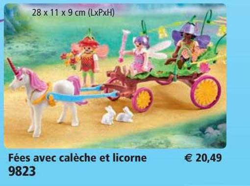fées avec calèche et licorne