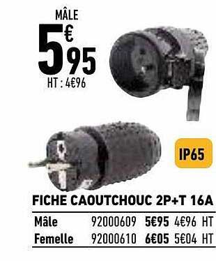 fiche caoutchouc 2p+t 16a