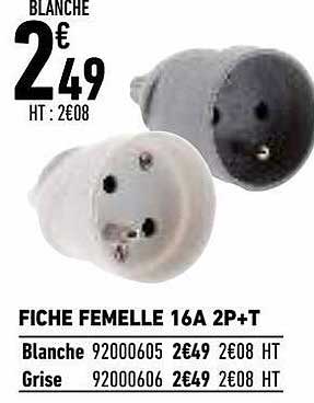fiche femelle 16a 2p+t