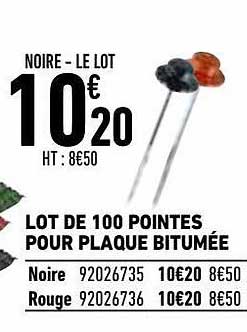 Lot De 100 Pointes Pour Plaque Bitumée