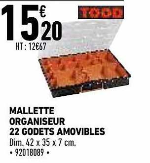 Mallette Organiseur 22 Godets Amovibles Tood